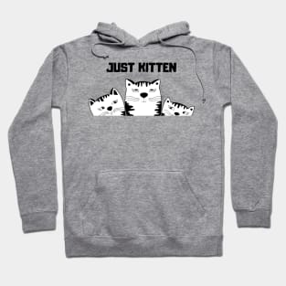 Cat Lover Just Kitten Hoodie